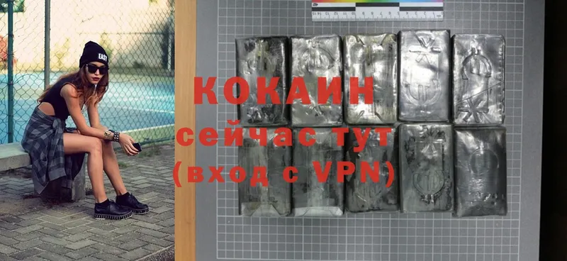 где купить наркотик  площадка клад  COCAIN Fish Scale  Цоци-Юрт 